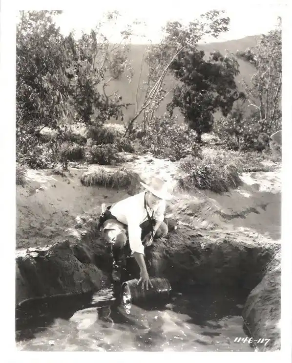 The Water Hole photo