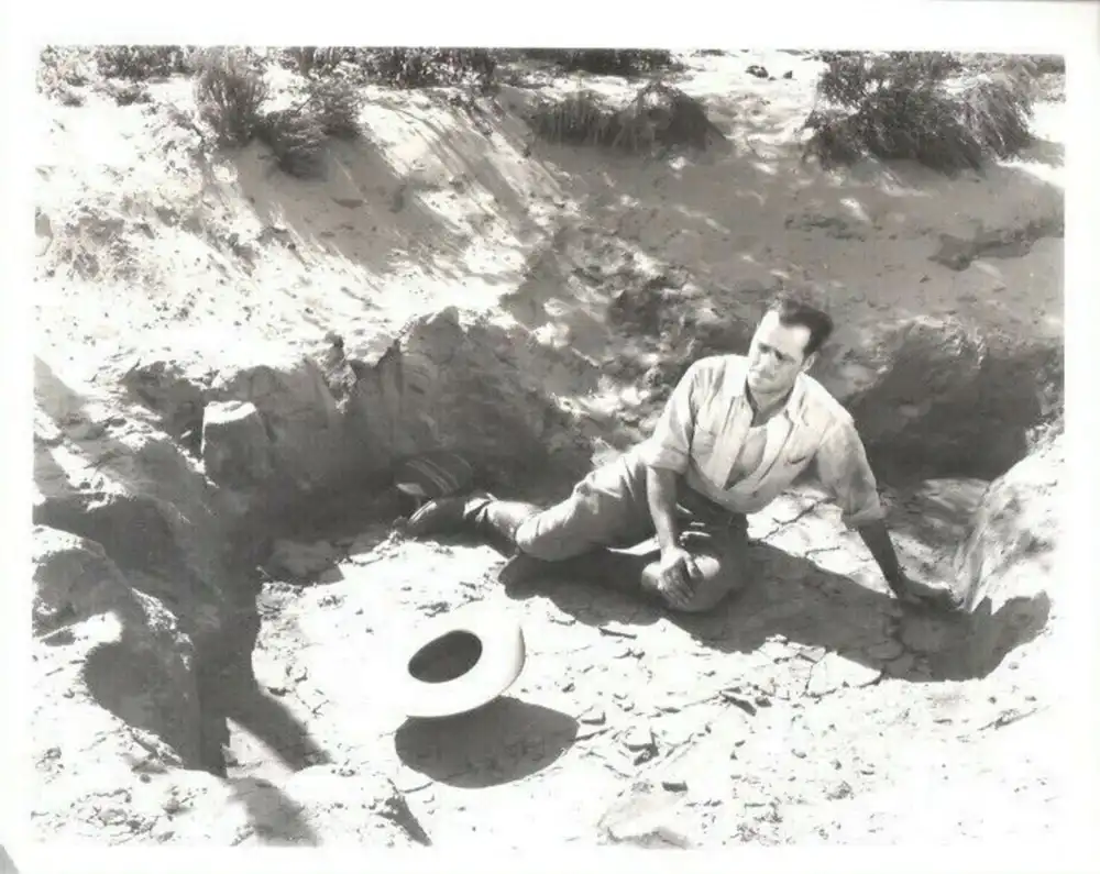 The Water Hole photo