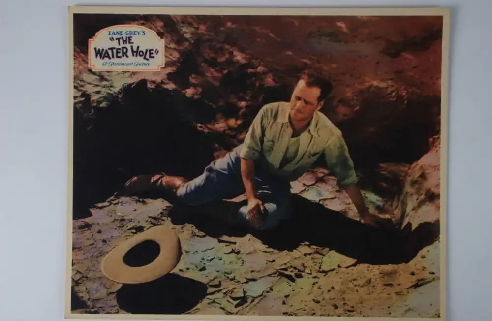 The Water Hole scene