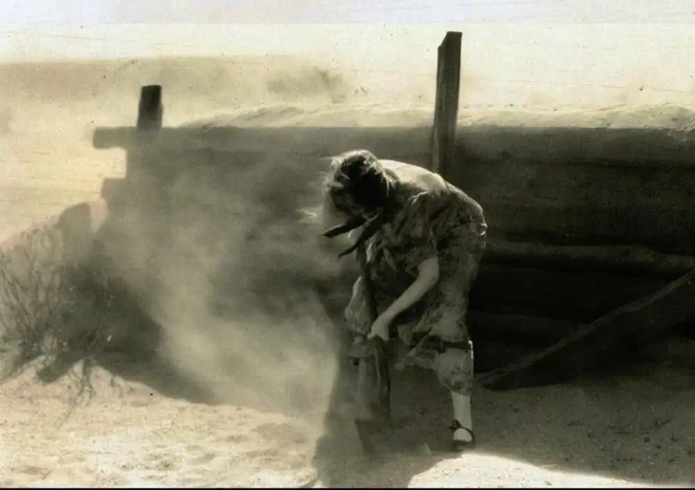 The Wind photo