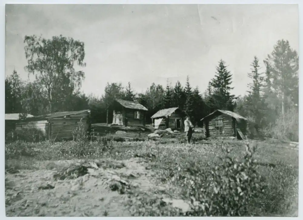 Ådalens poesi scene