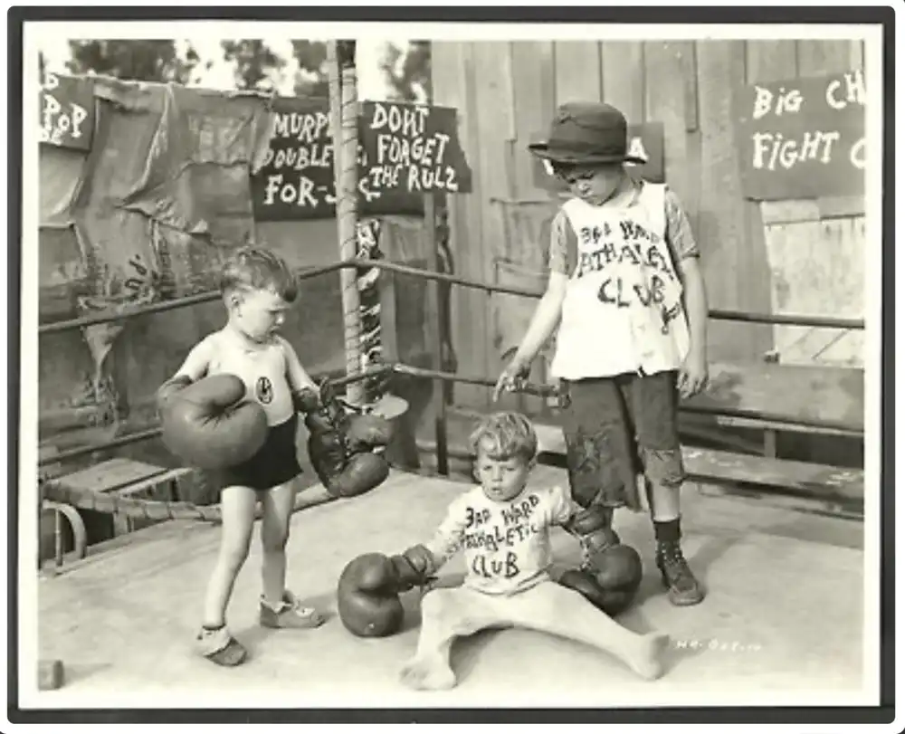Boxing Gloves photo