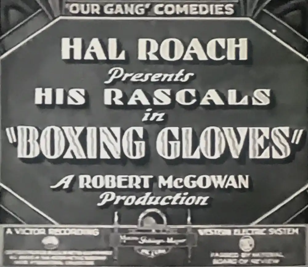Boxing Gloves photo
