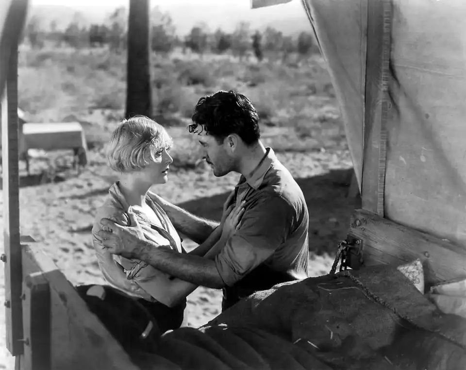 Desert Nights photo