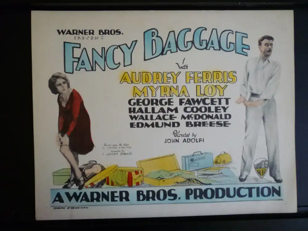 Fancy Baggage