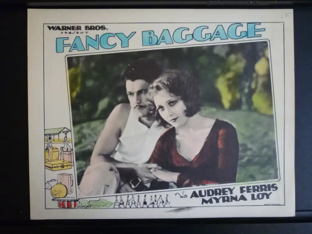 Fancy Baggage