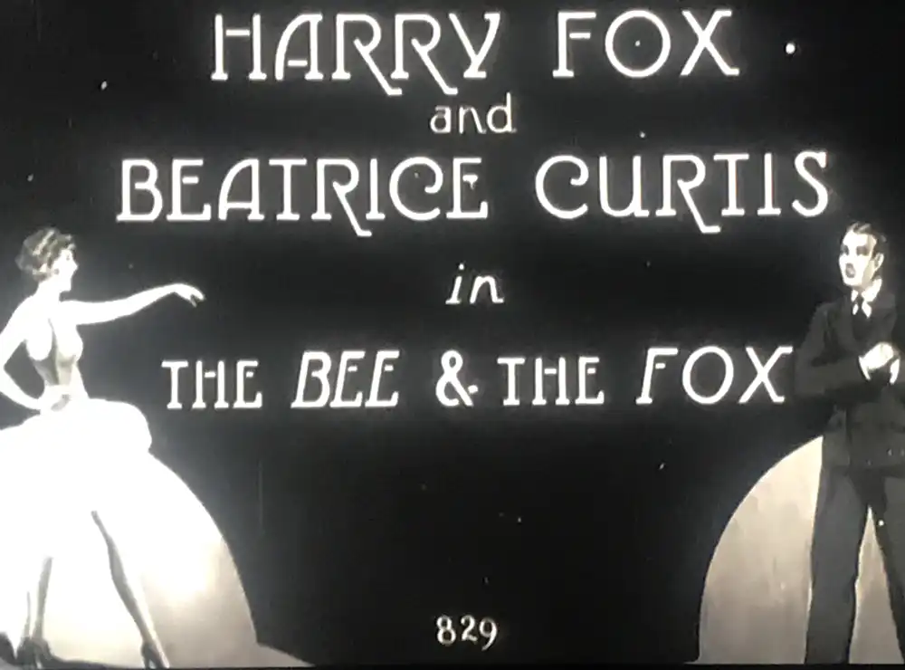 The Bee & the Fox