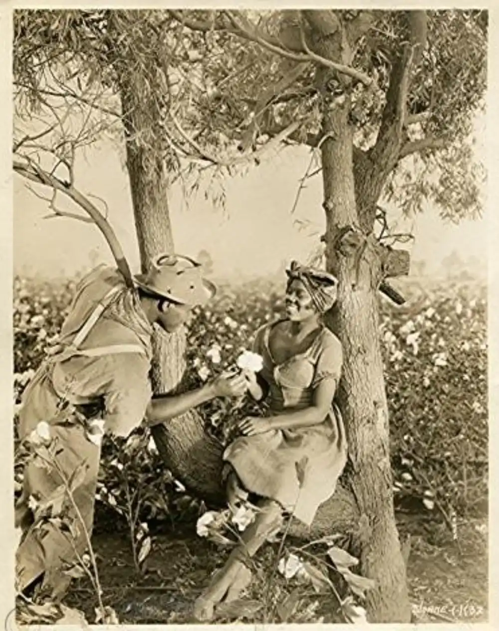 Hearts in Dixie photo