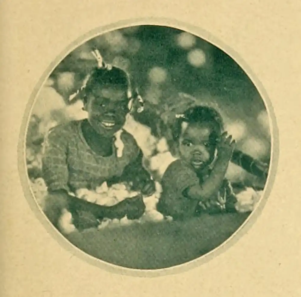 Hearts in Dixie photo