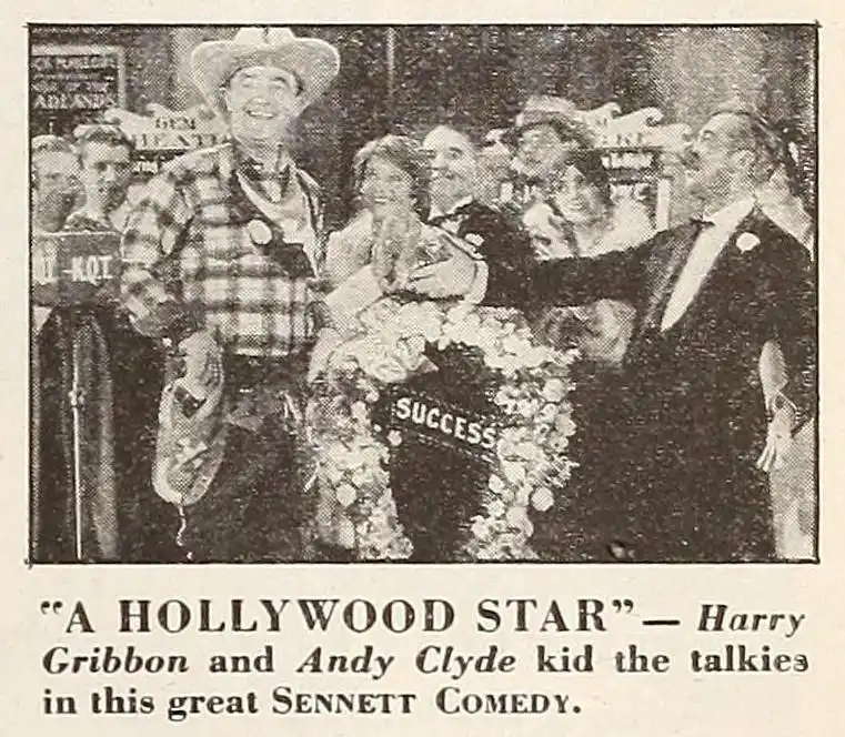 A Hollywood Star