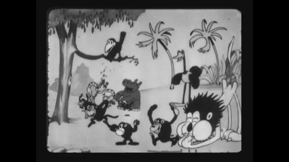 Jungle Rhythm
