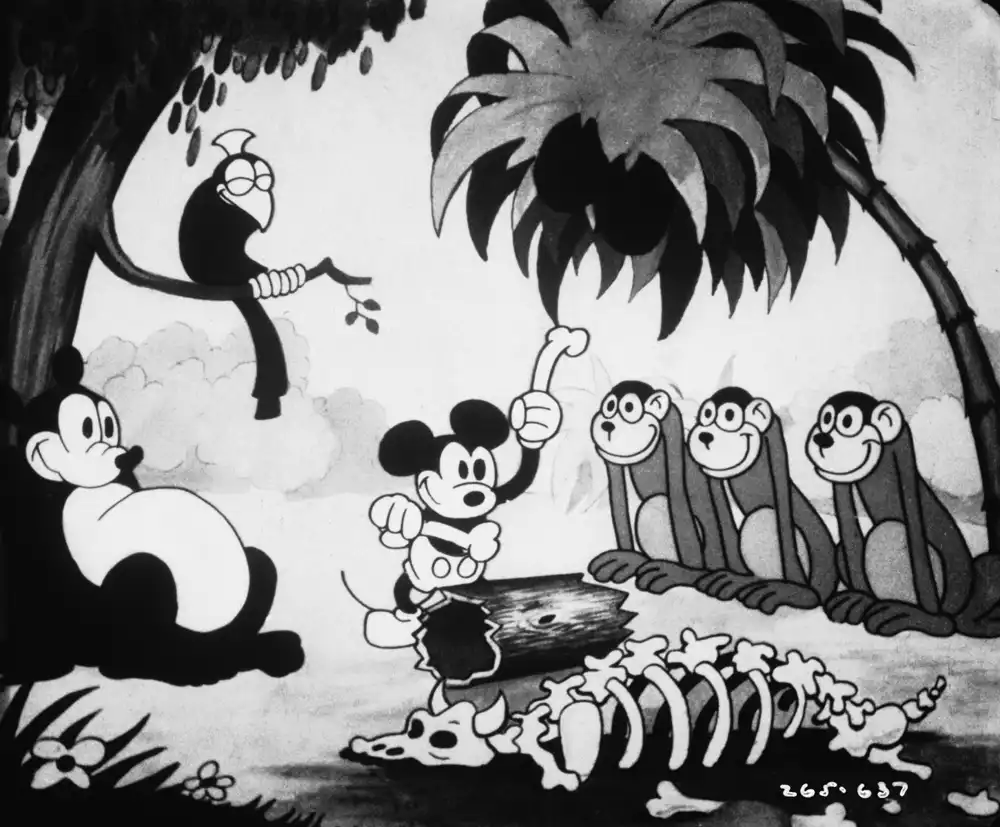 Jungle Rhythm