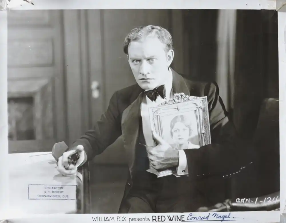 Red Wine photo