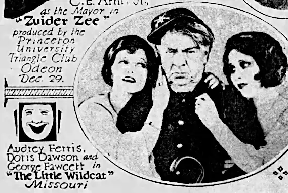 The Little Wildcat