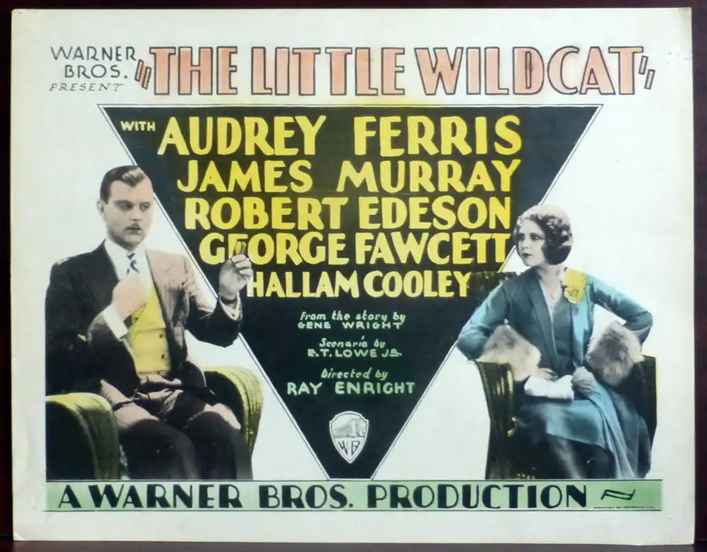 The Little Wildcat