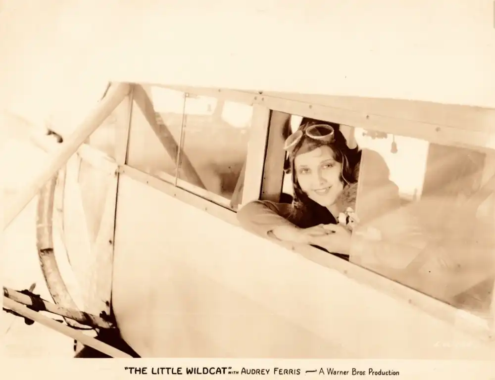 The Little Wildcat