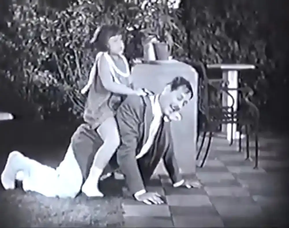 The Marriage Playground scene