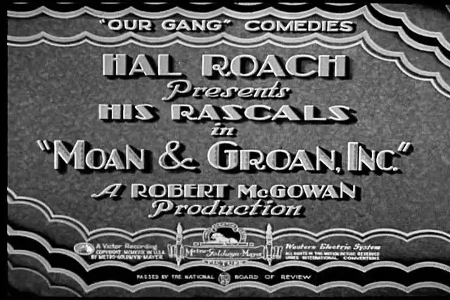 Moan & Groan, Inc. photo