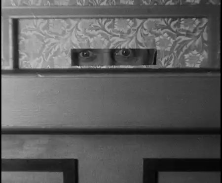 The Mysterious Dr. Fu Manchu photo