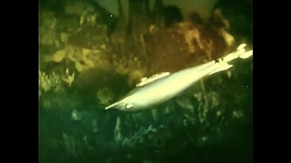 The Mysterious Island photo