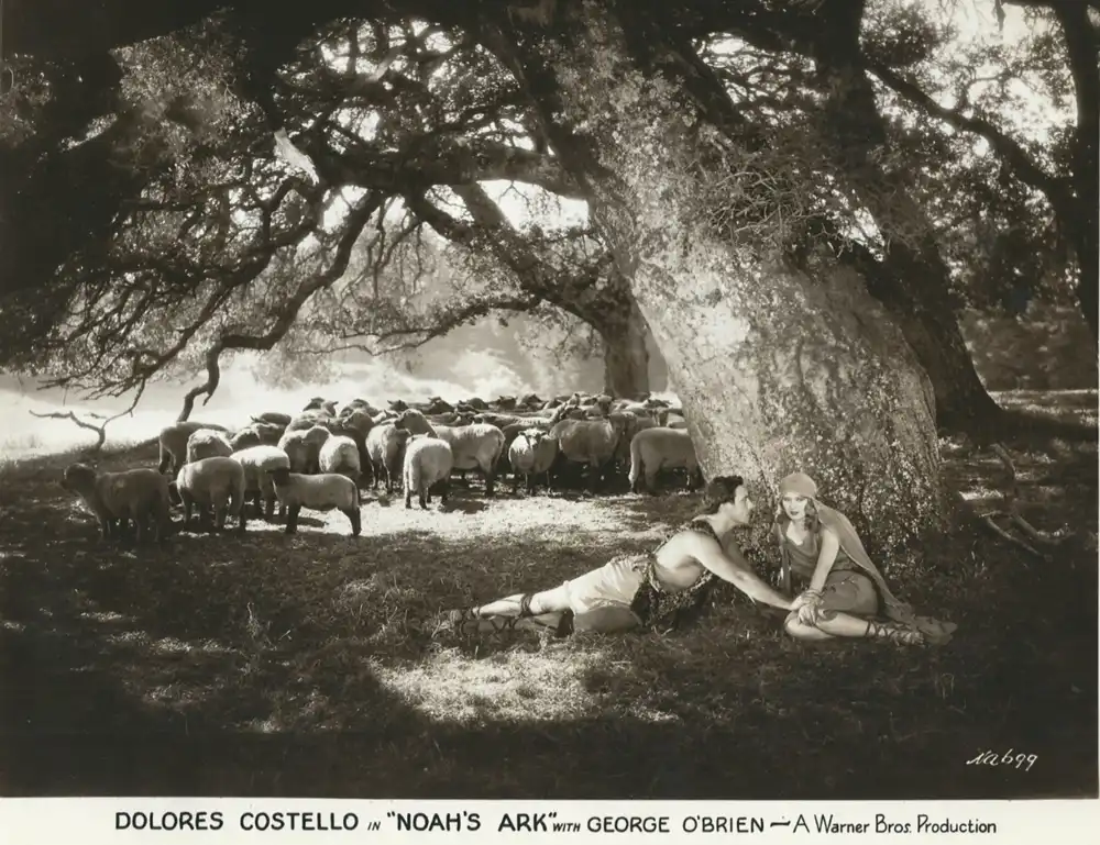 Noah's Ark photo