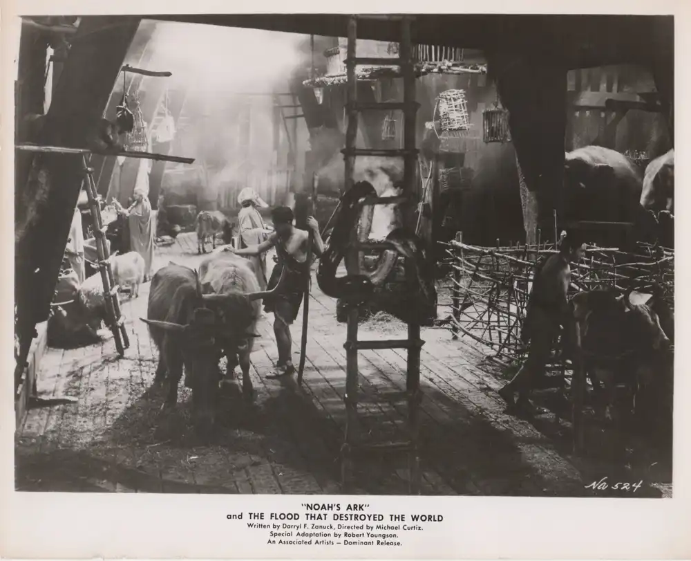 Noah's Ark photo