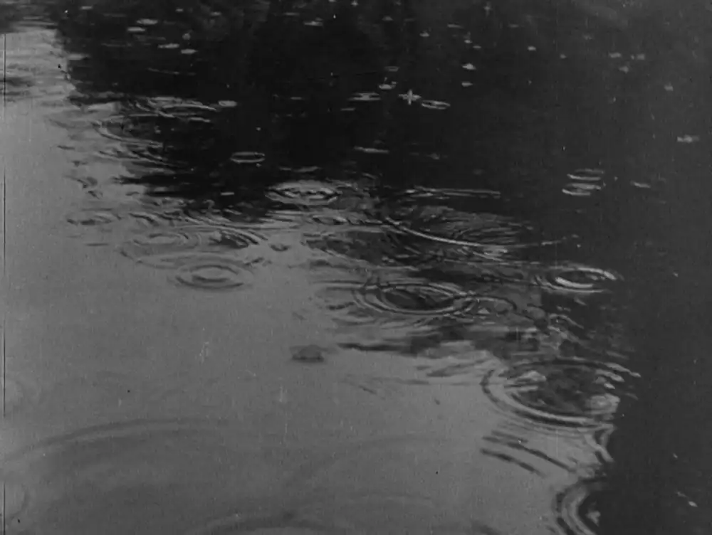 Rain scene