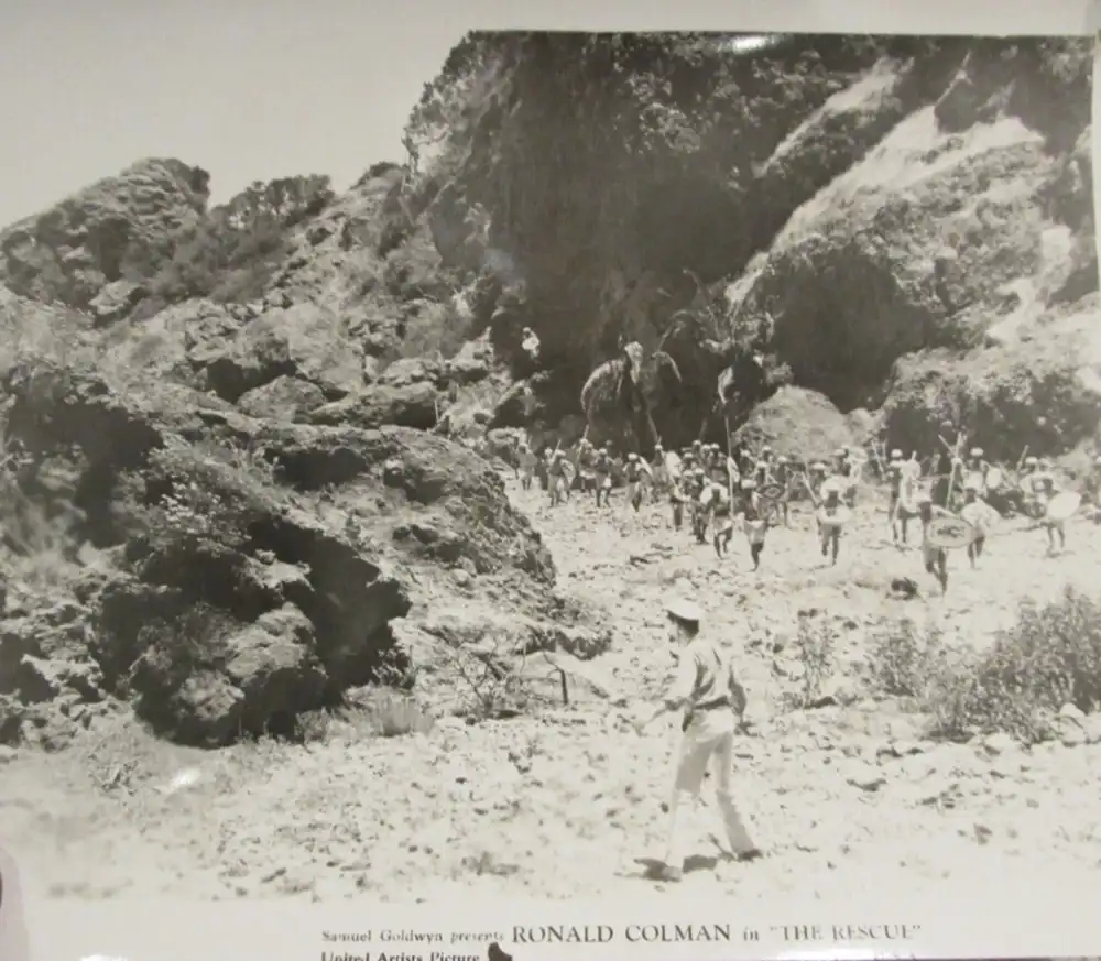 The Rescue photo