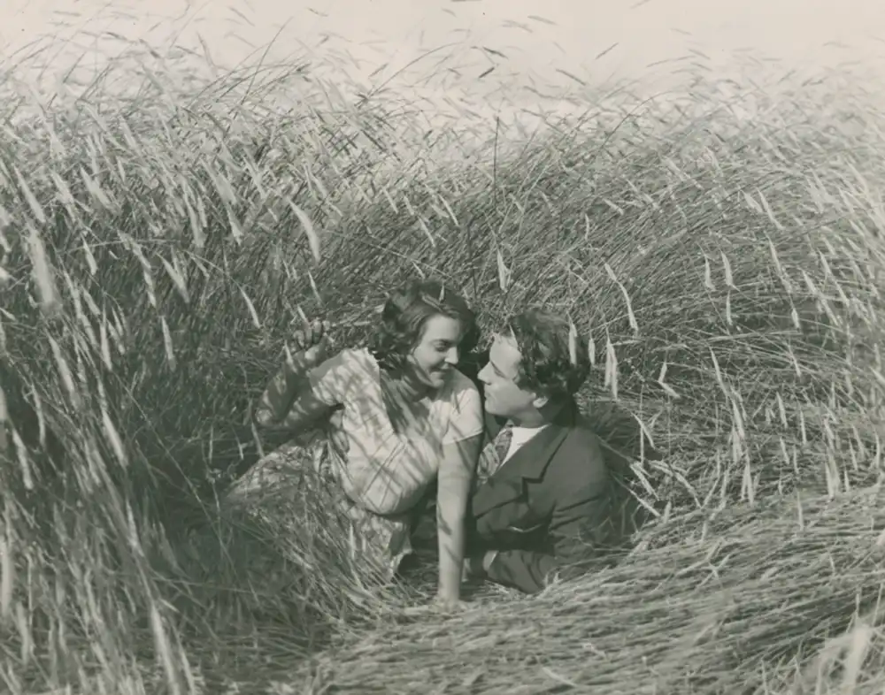Rågens rike scene