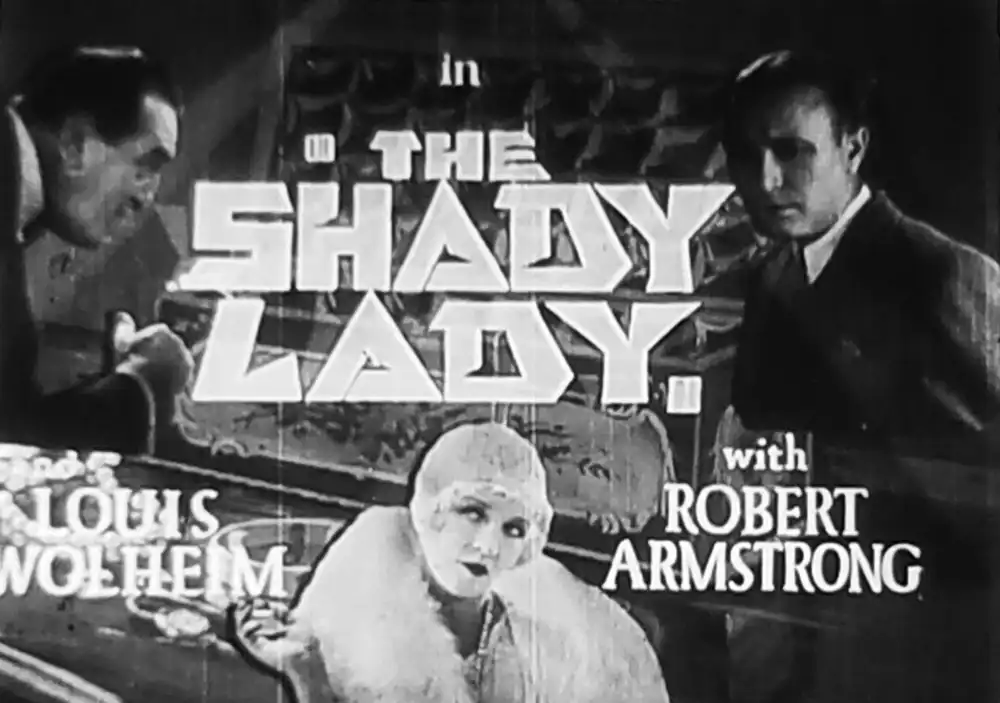 The Shady Lady photo