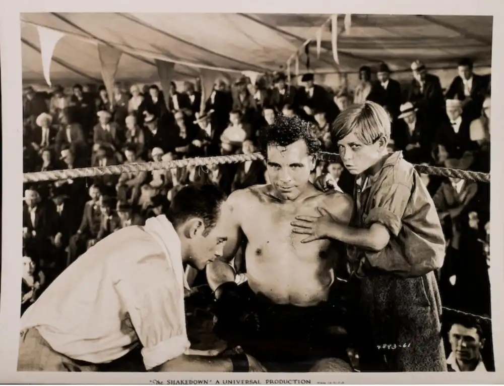 The Shakedown photo