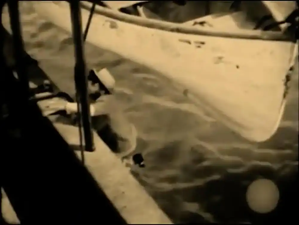 Ships of the Night photo