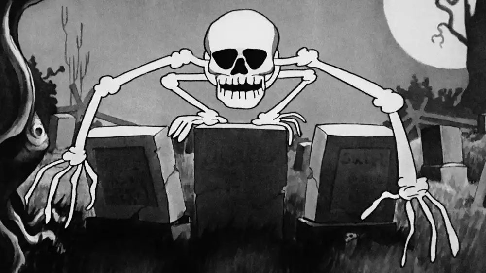 The Skeleton Dance photo