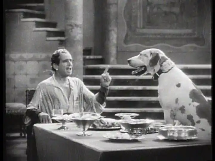 The Taming of the Shrew photo