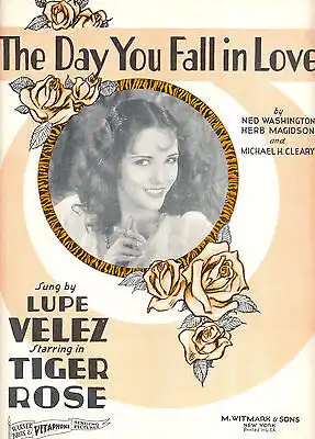 Tiger Rose photo
