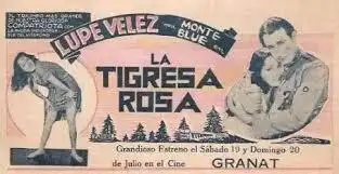 Tiger Rose