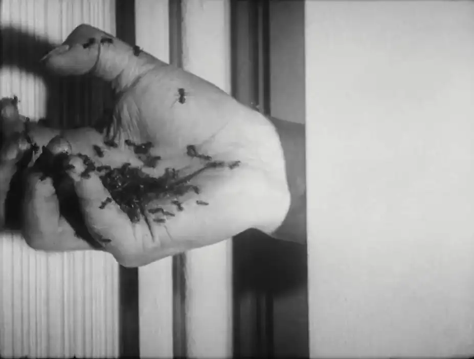 Un chien andalou scene