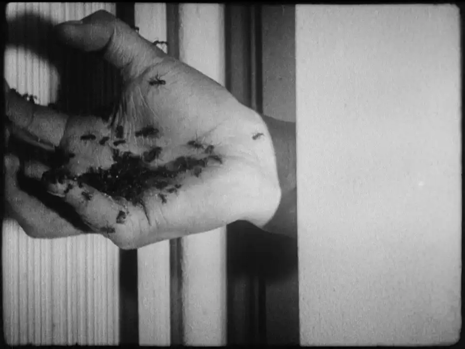 Un chien andalou