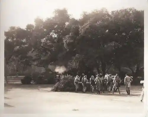 Wolf Song scene