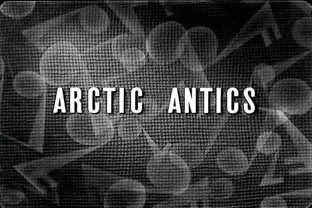 Arctic Antics