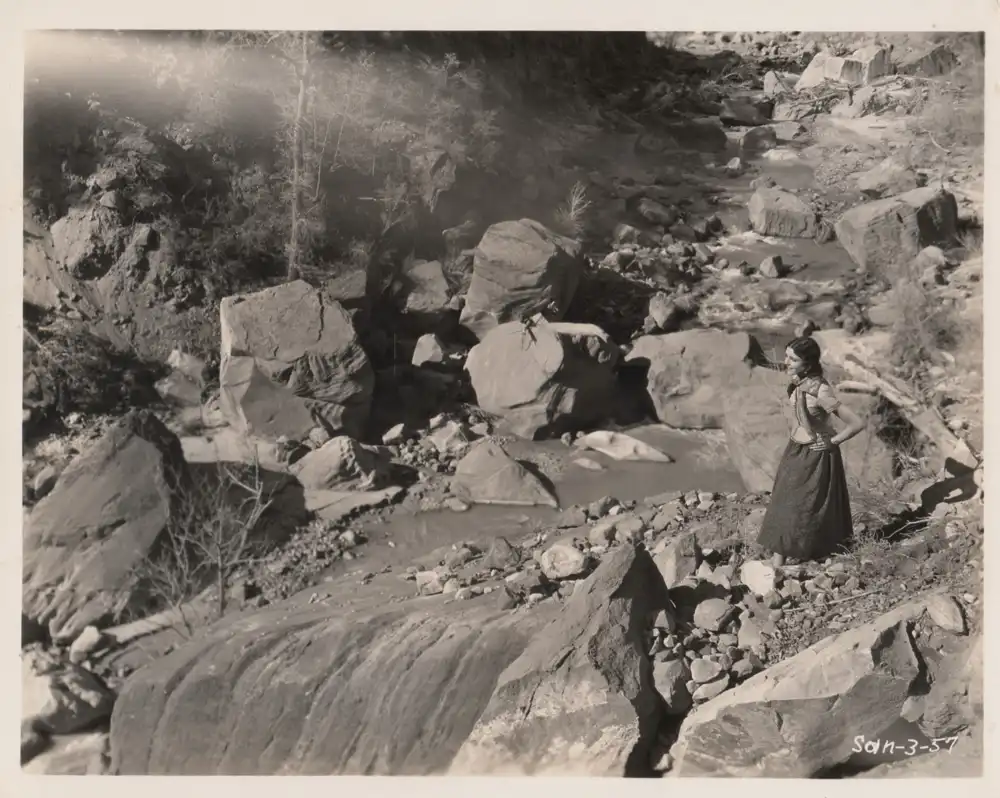 The Arizona Kid photo