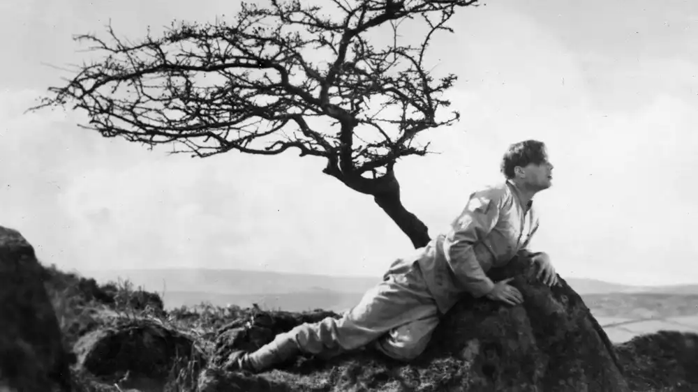 Escape from Dartmoor