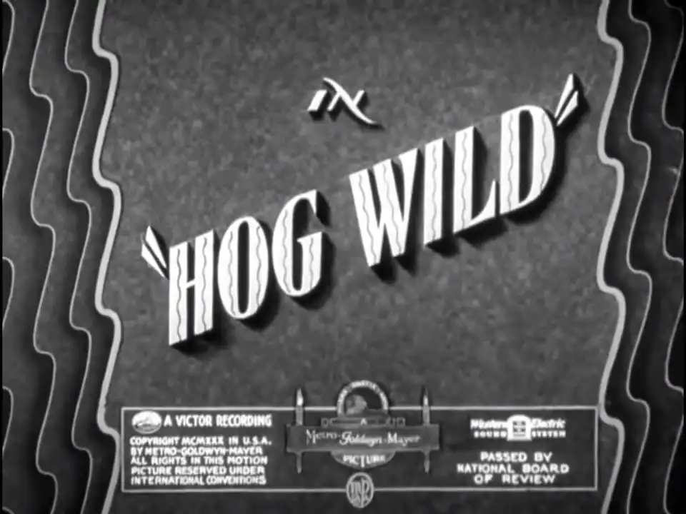 Hog Wild photo