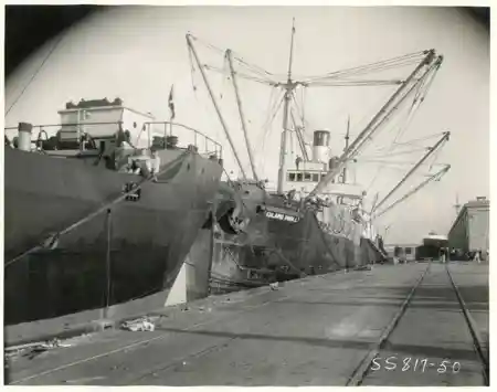 Sea Legs photo