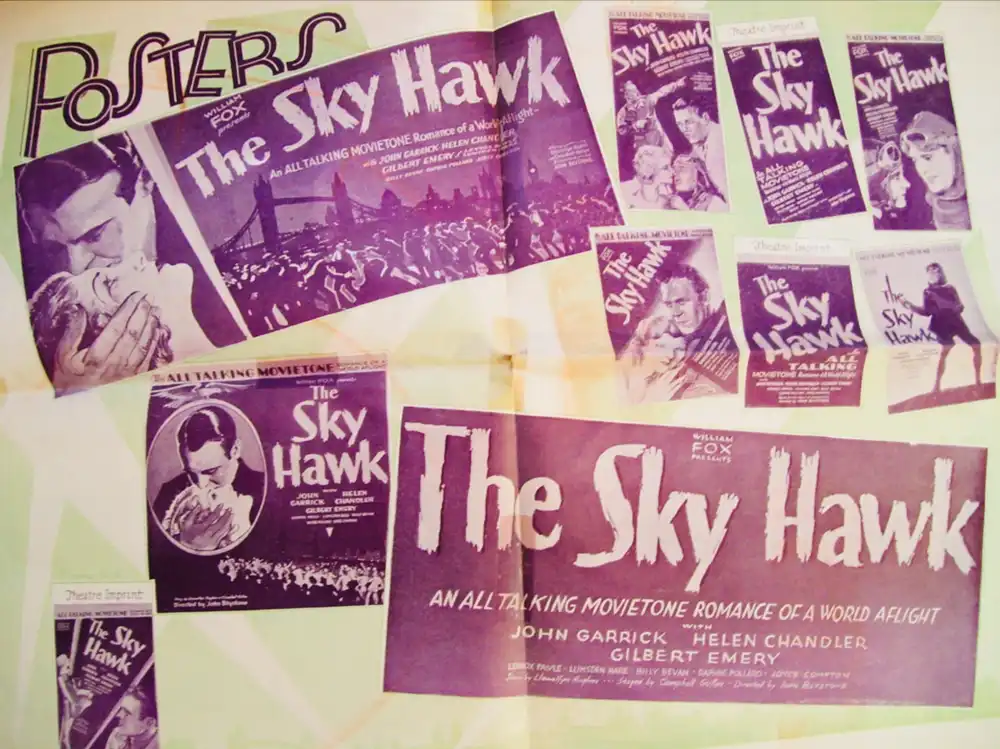 The Sky Hawk photo