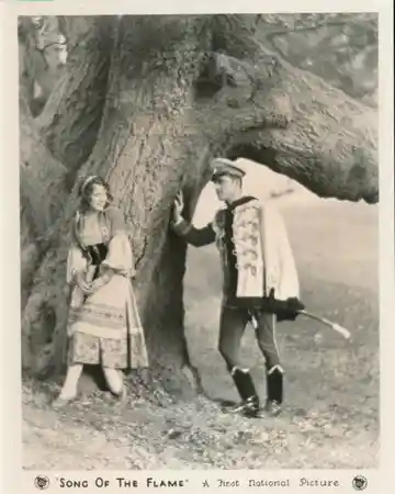 The Song of the Flame photo