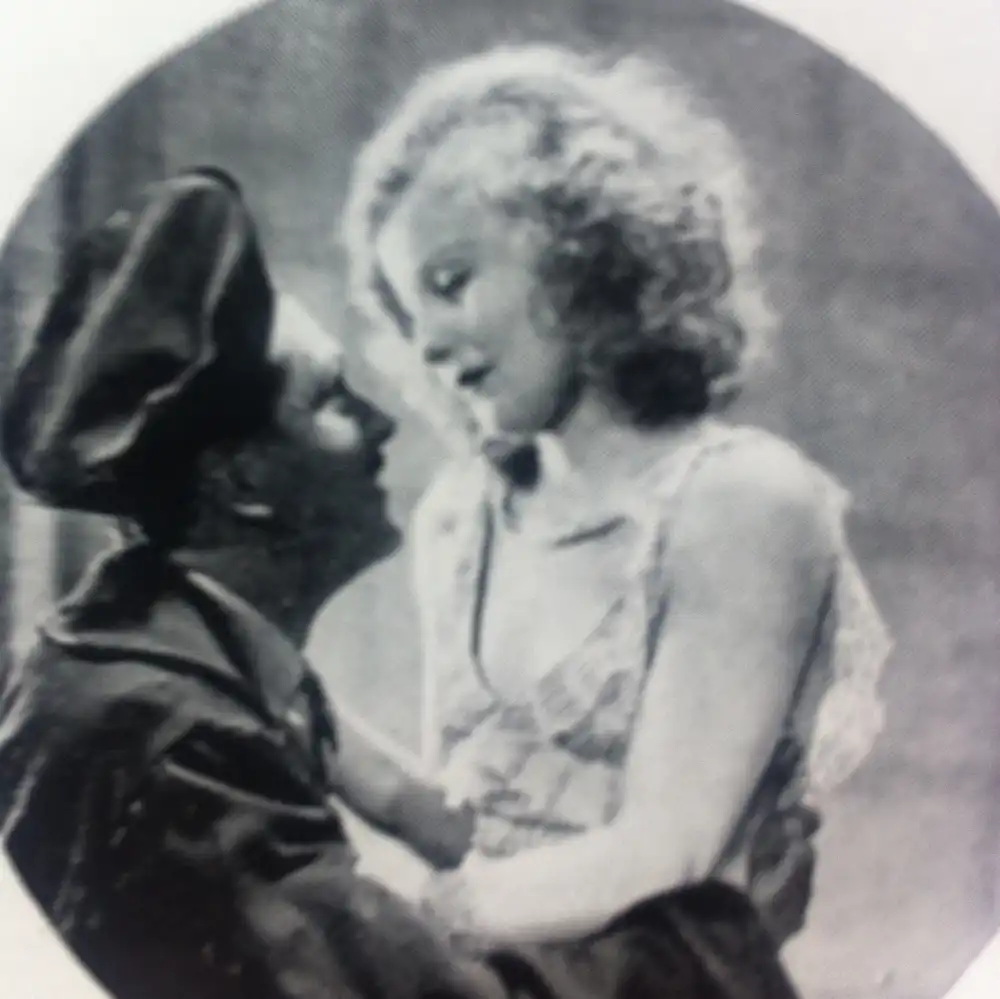 The Temporary Widow photo
