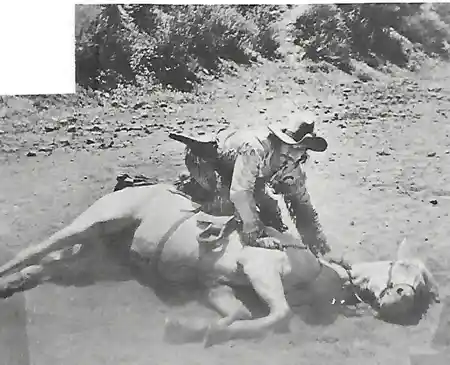 Battling with Buffalo Bill