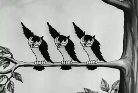 Birds of a Feather photo