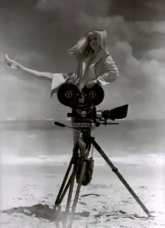The Black Camel photo